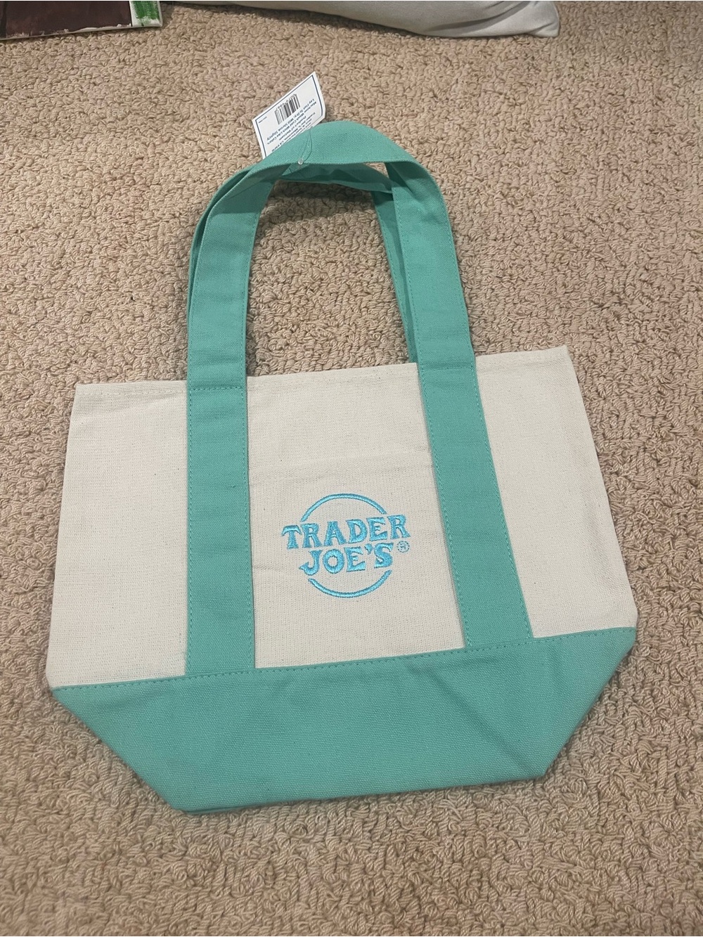 Trader Joe's Canvas Tote Bag in Aqua Accent